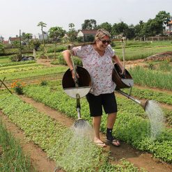 Local Village in Hoi An South Vietnam Tour