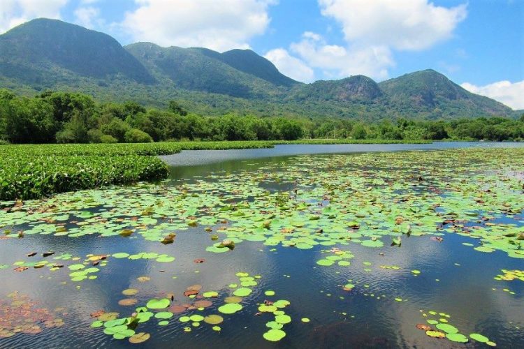 con dao national park