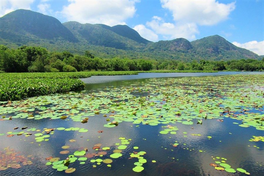 con dao national park - South vietnam travel packages