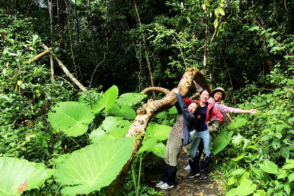 discover Nam cat tien national park