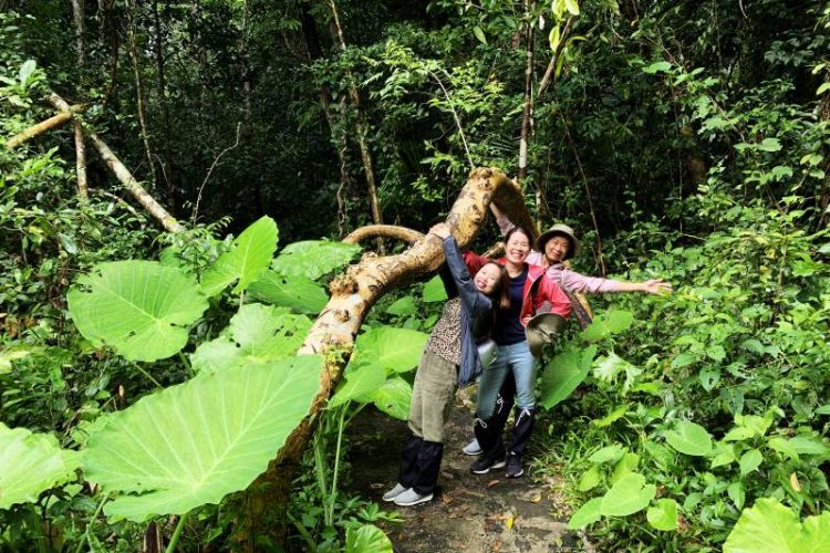 discover nam cat tien national park ho chi minh tours