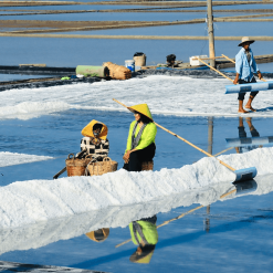 experience in salt field landscape in Thieng Lieng island