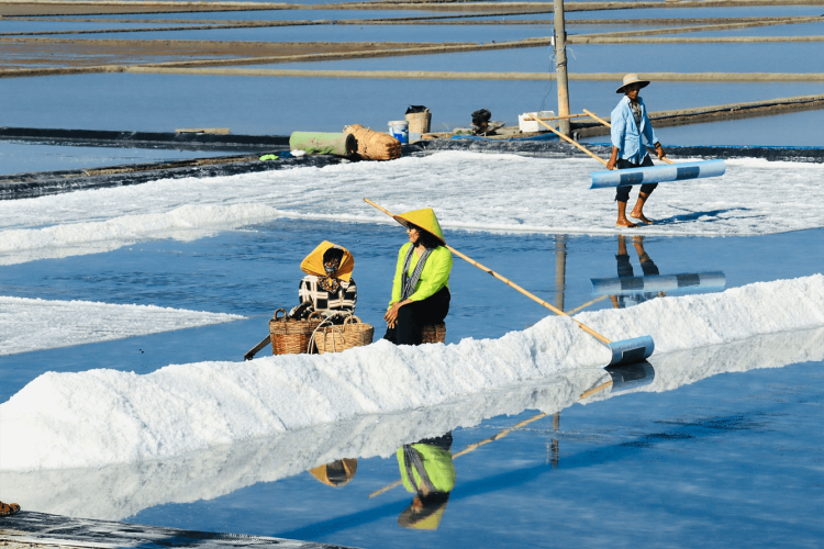 experience in salt field landscape in Thieng Lieng island