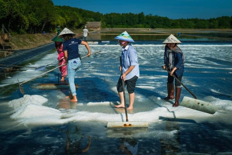 learn about the salt-making profession of the Thieng Lieng island
