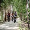 mekong delta cycling tour 5 days