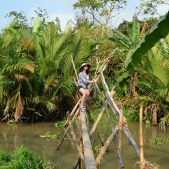 monkey bridge in mekong delta
