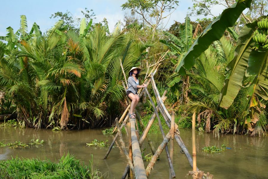 monkey bridge in mekong delta