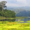 nam cat tien national park 2 days tour