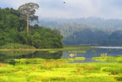 nam cat tien national park 2 days