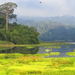 nam cat tien national park 2 days tour