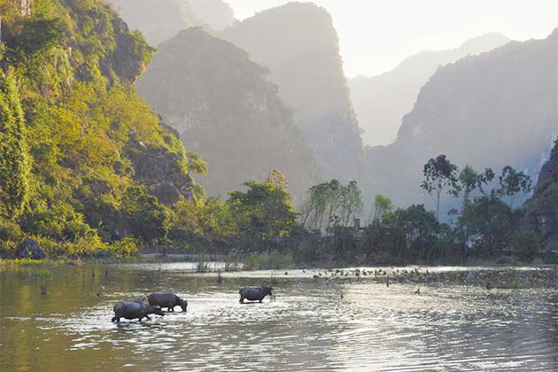 Peaceful Countryside of Ninh Binh