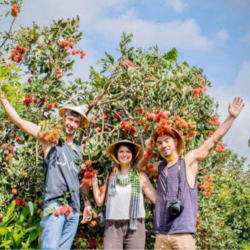 southern fruit festival in saigon local tour