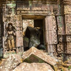 ta prohm temple - Ho Chi Minh city tour