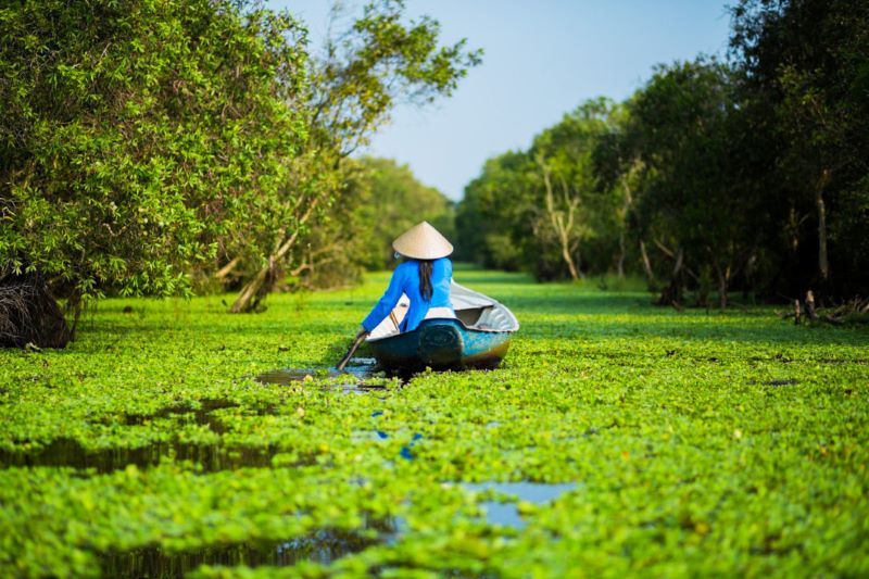 tra su forest vietnam local tours