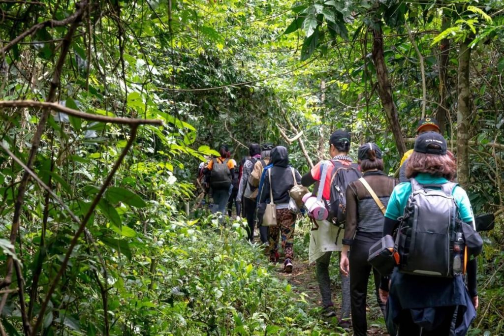 visit Nam Cat Tien National Park in Saigon Mekong Delta Nam Cat Tien National Park Tour 7 Days