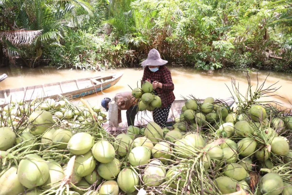 visit a workshop of baskets made of coconut stems and a coconut processing operation in Mekong Delta