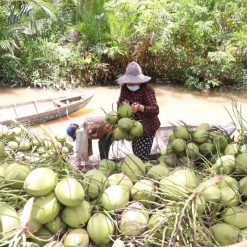 visit a workshop of baskets made of coconut stems and a coconut processing operation in Mekong Delta