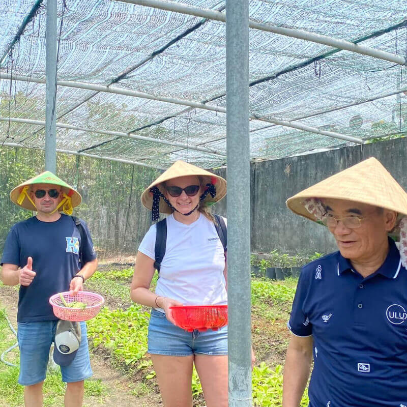 visiting vegetable farm in saigon tour packages - saigon local tour